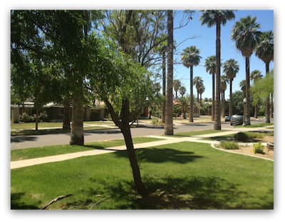 Phoenix Historic Homes for sale - Phoenix Real Estate