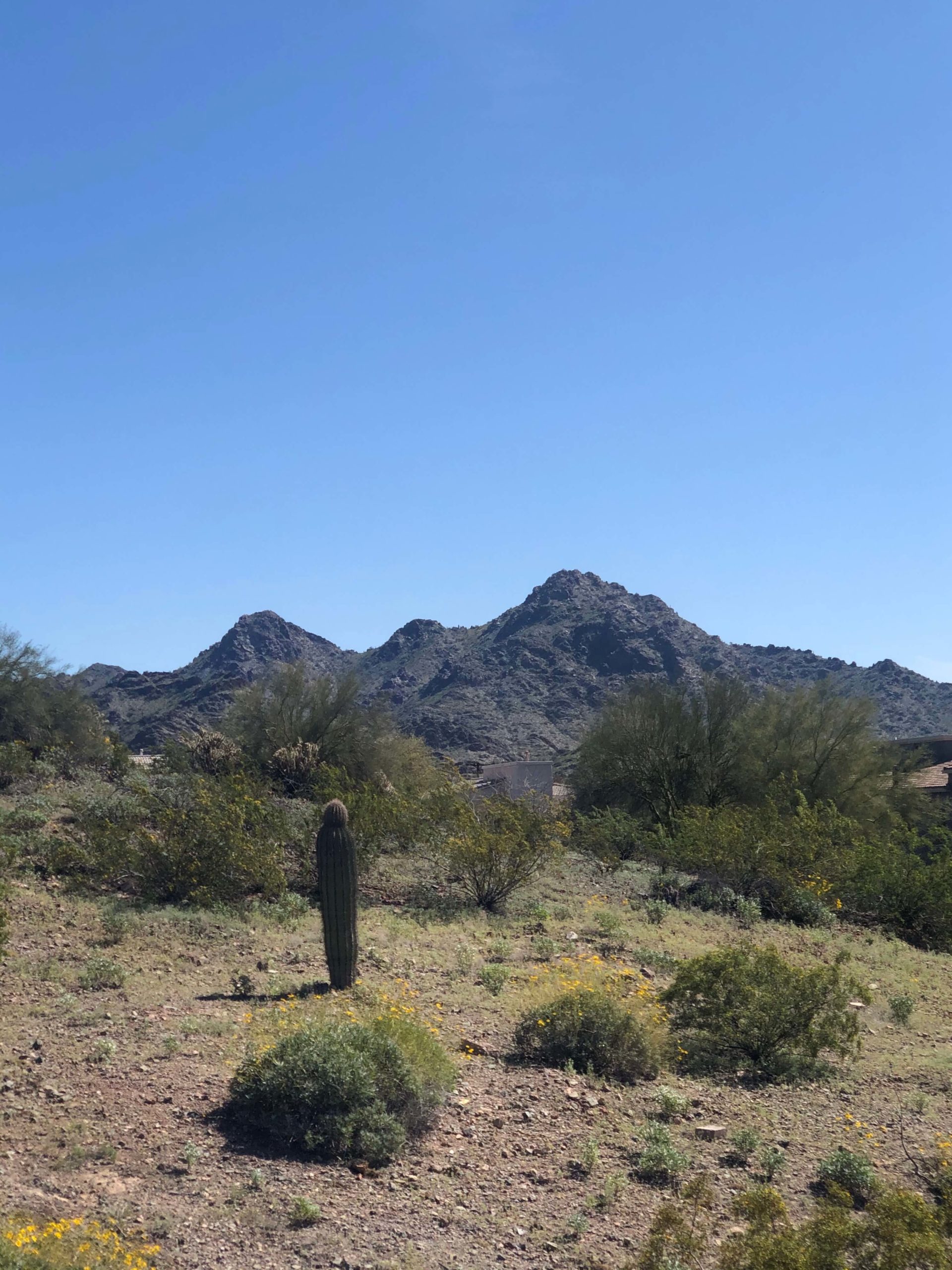 Homes on a preserve lot in Phoenix